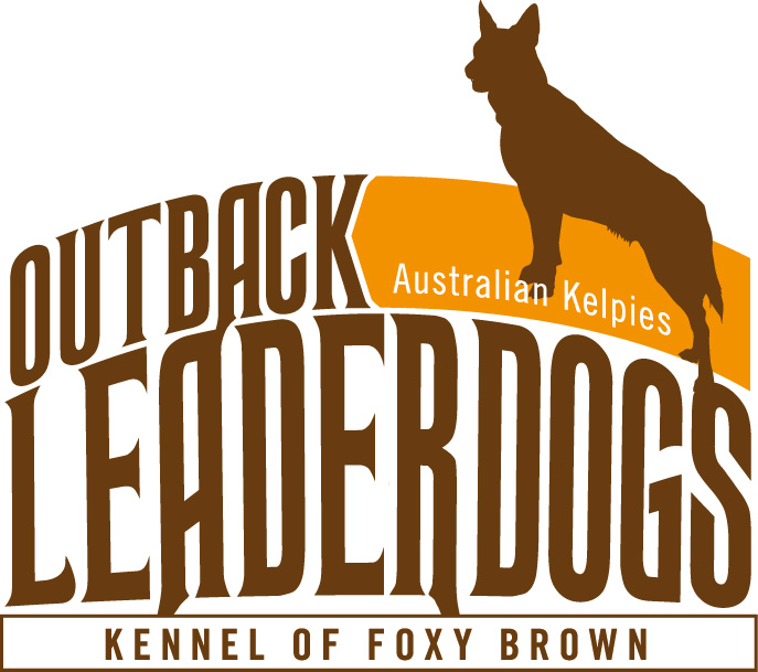  Hundezüchter Australien Kelpies